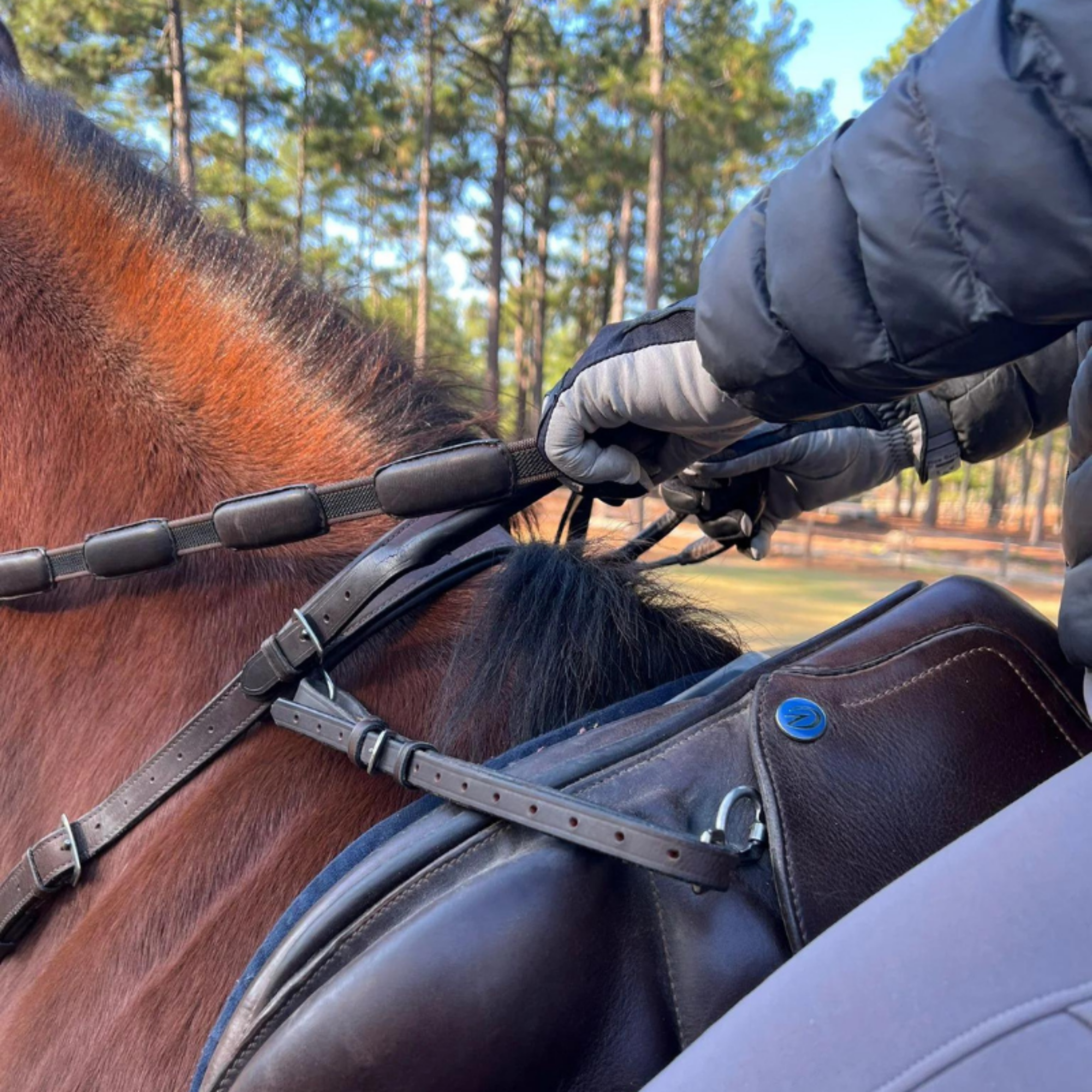 Correct Connect Neck Strap that attaches to your saddle d rings and has a rolled leather handle.