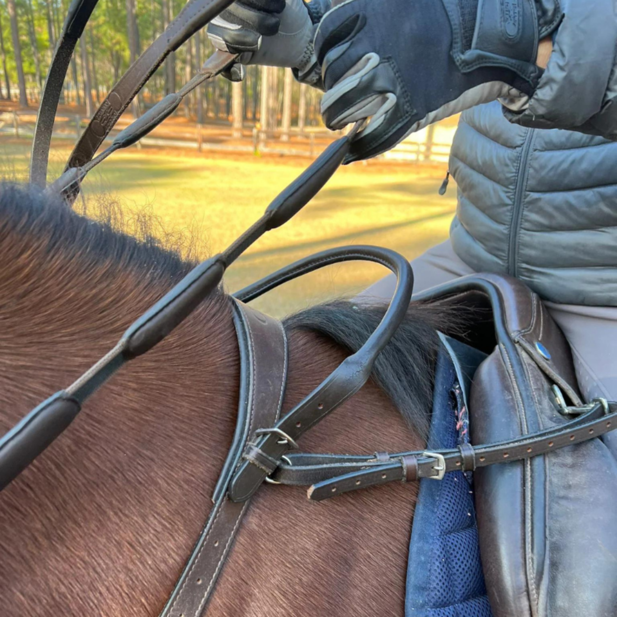 Brown Correct Connect leather neck strap with rolled leather handle. Attaches to saddle for extra security.