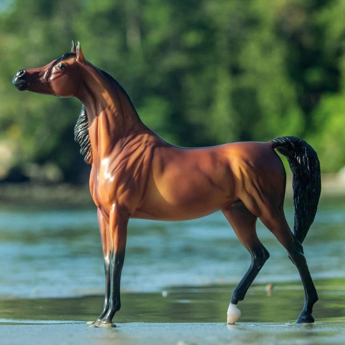 Breyer RD Marciea Bay, Champion Arabian Mare