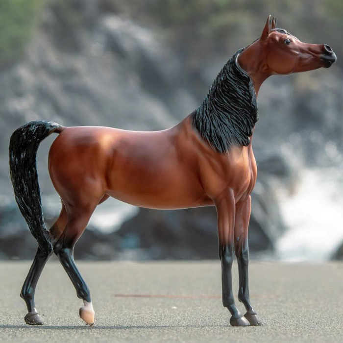 Breyer RD Marciea Bay, Champion Arabian Mare