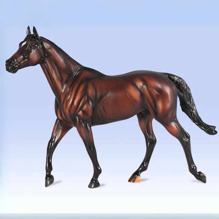 Breyer Cody&