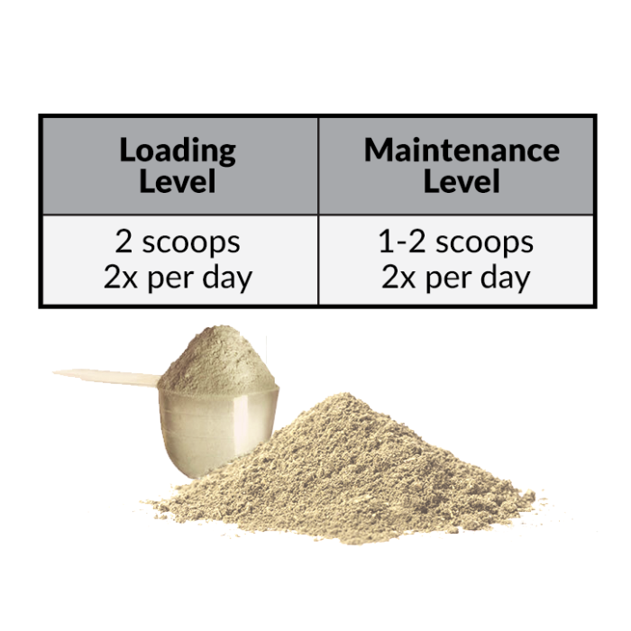 Perfect Prep EQ Training Day Calming Powder, 5lb