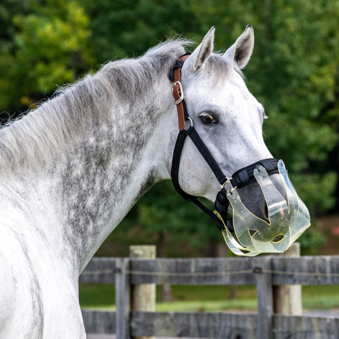 ThinLine Flexible Filly Slow Feed Grazing Muzzle, 2.5 cm Opening