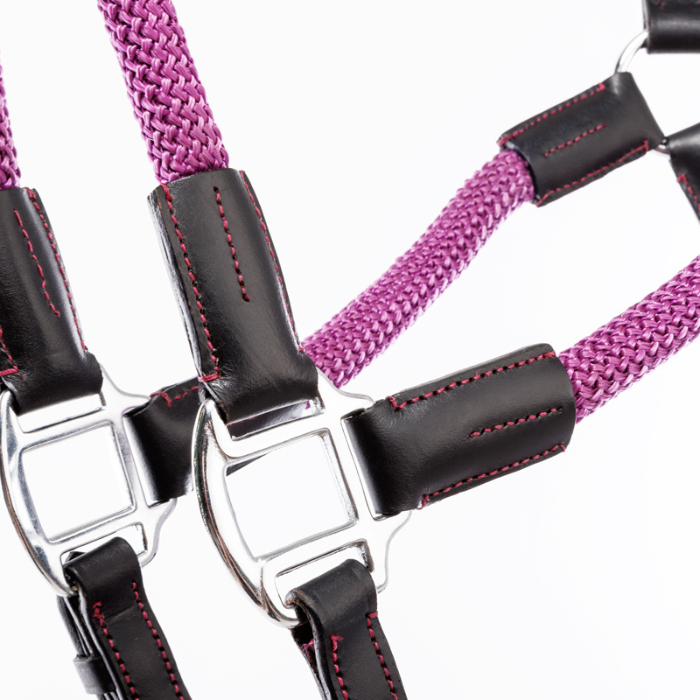 Kavalkade Cavo Rope Halter Set with Lead, Purple