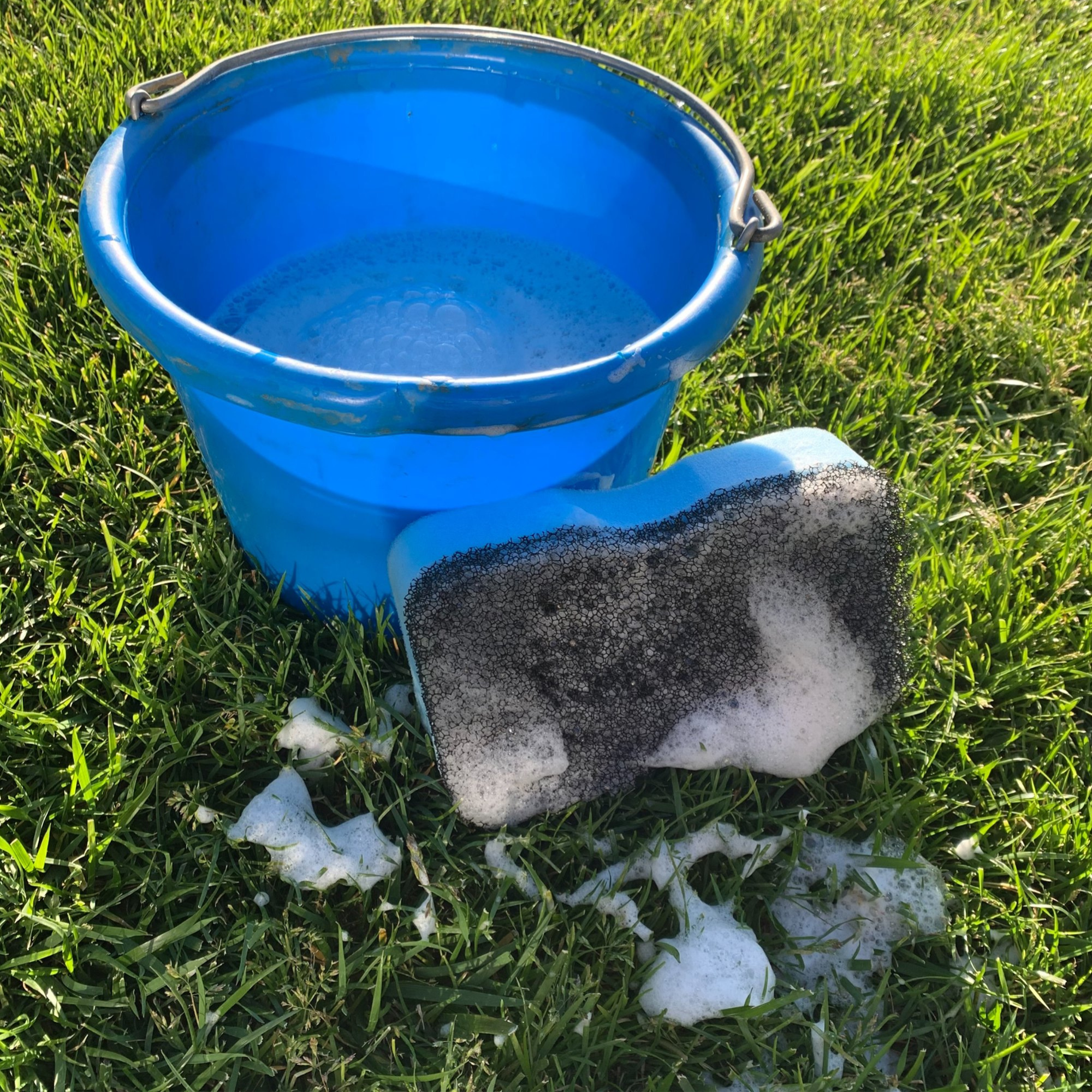 Epona April Power Shower Sponge