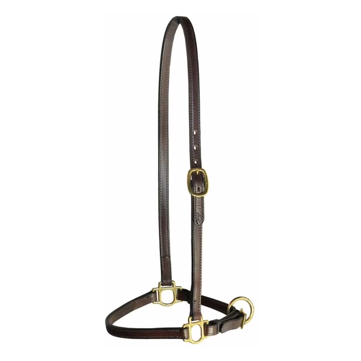 Tory Leather Grooming Halter