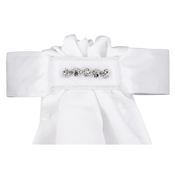 All Tied Up Glenn Collection White Cord with Zig-Zag Crystal Bar Pin Stock Tie