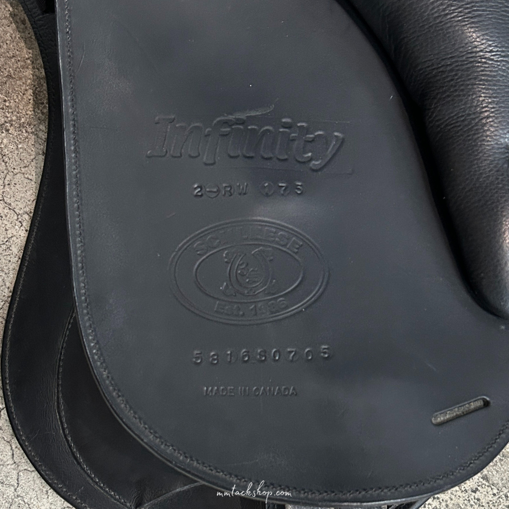 Image of 17.5" used Schleese Infinity dressage saddle&