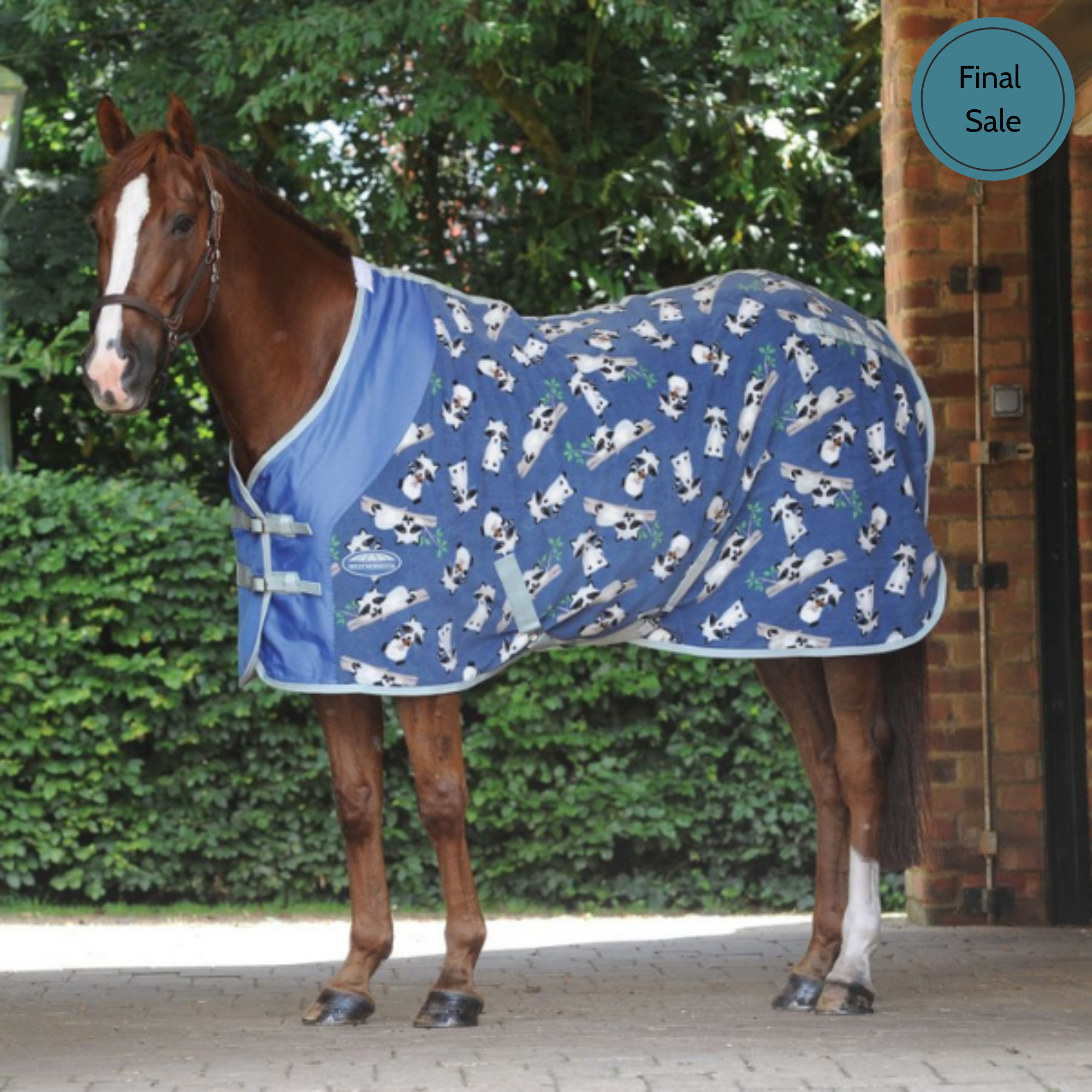 Weatherbeeta Standard Neck Fleece Cooler, Raccoon Print
