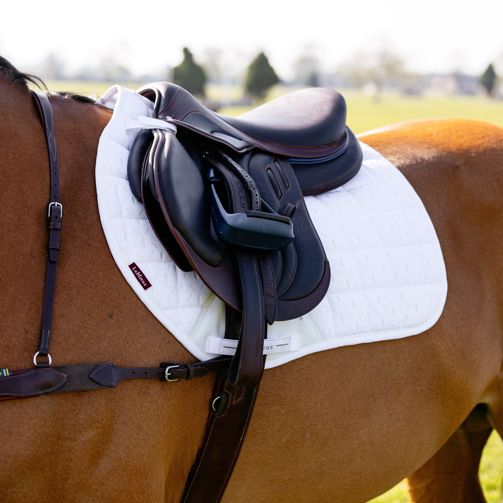 LeMieux 3D Mesh Self-Cool Eurojump Square Pad, White