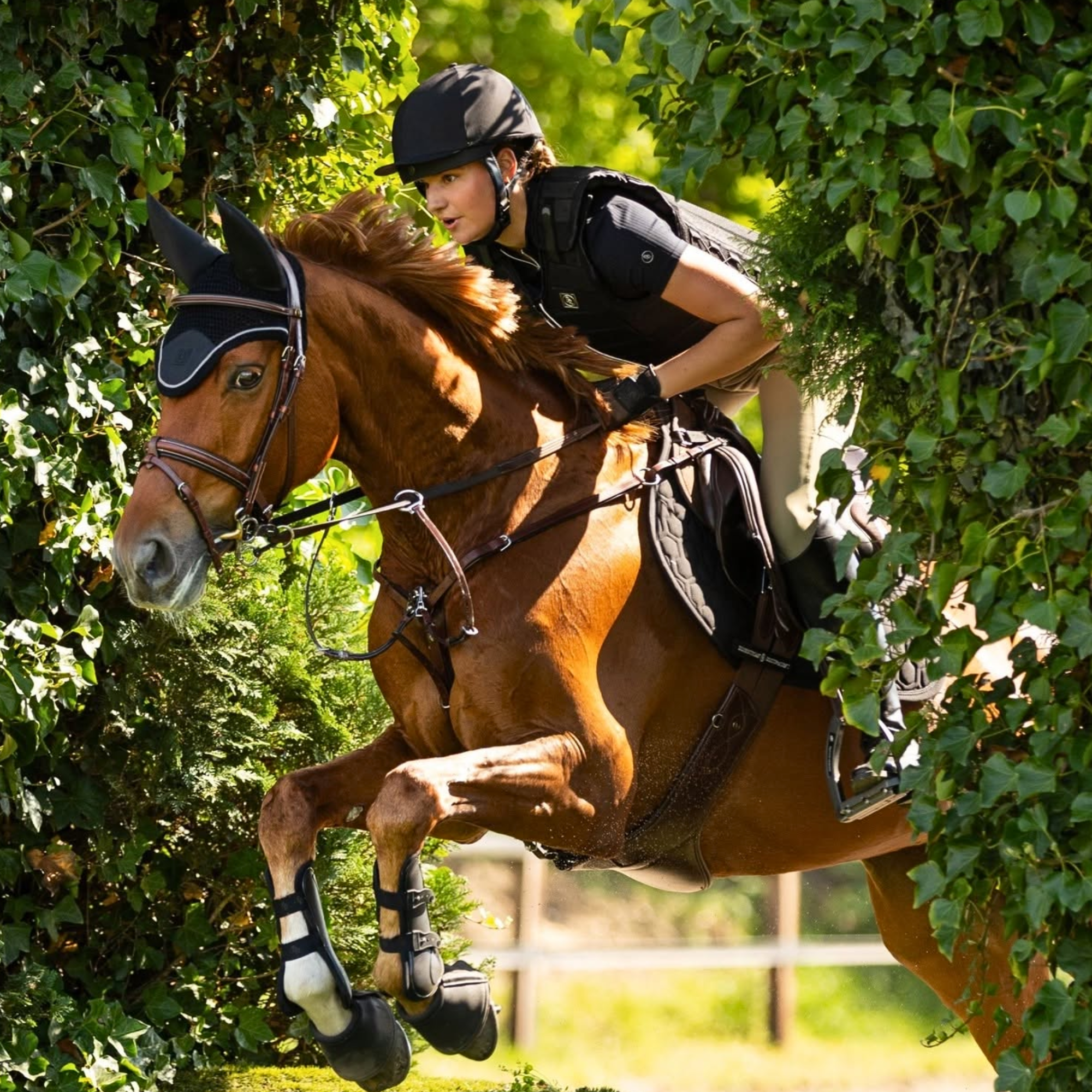 BR Equestrian Thorax Body Protector