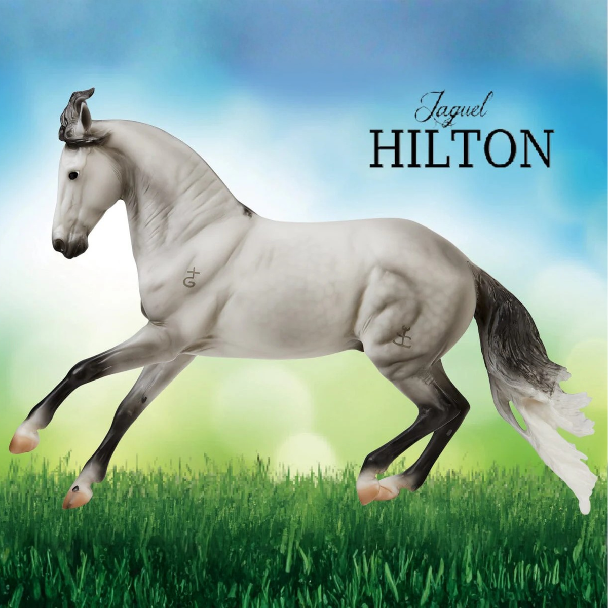 Breyer Jaguel Hilton, Criollo Stallion