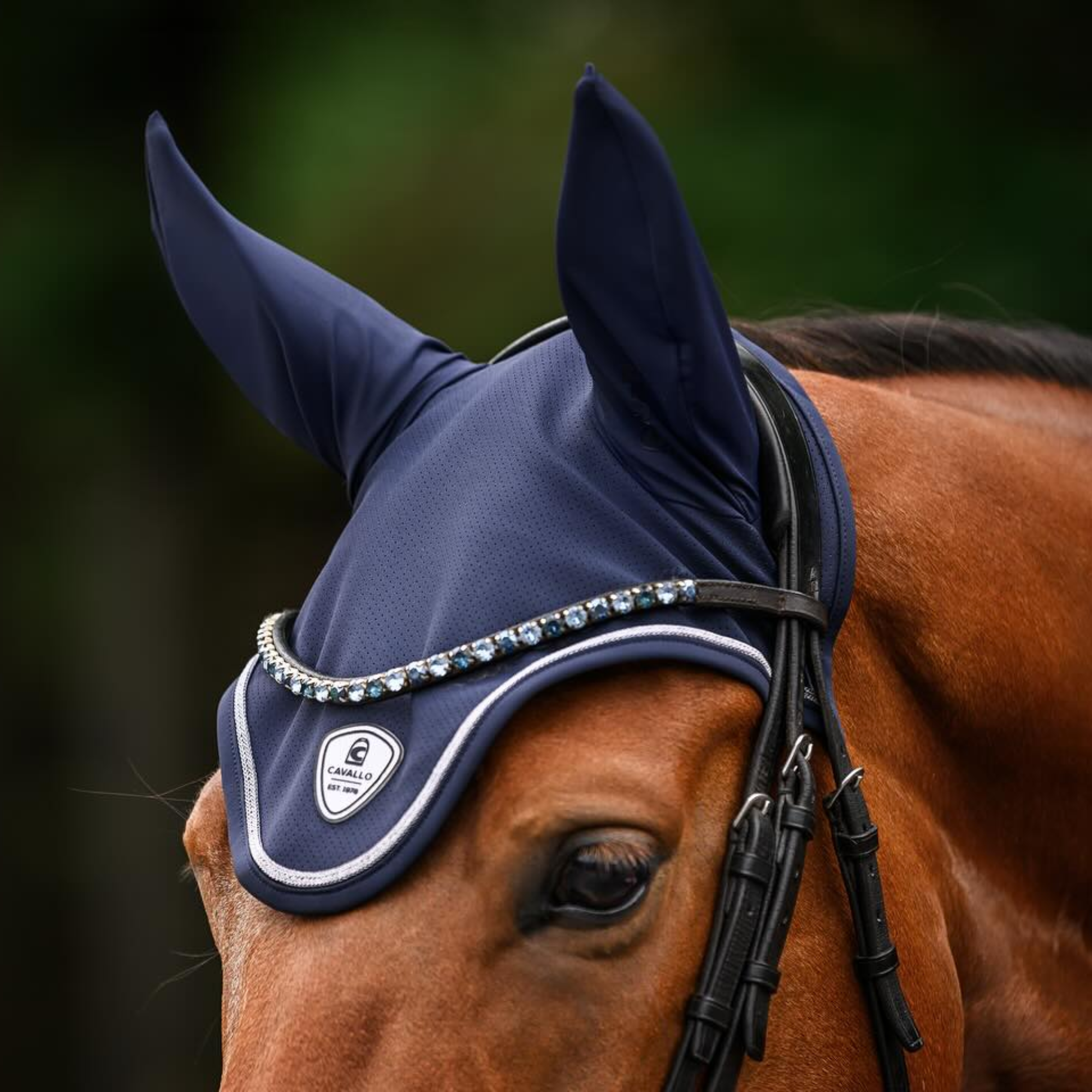 Cavallo Jackie Fly Veil Dark Blue
