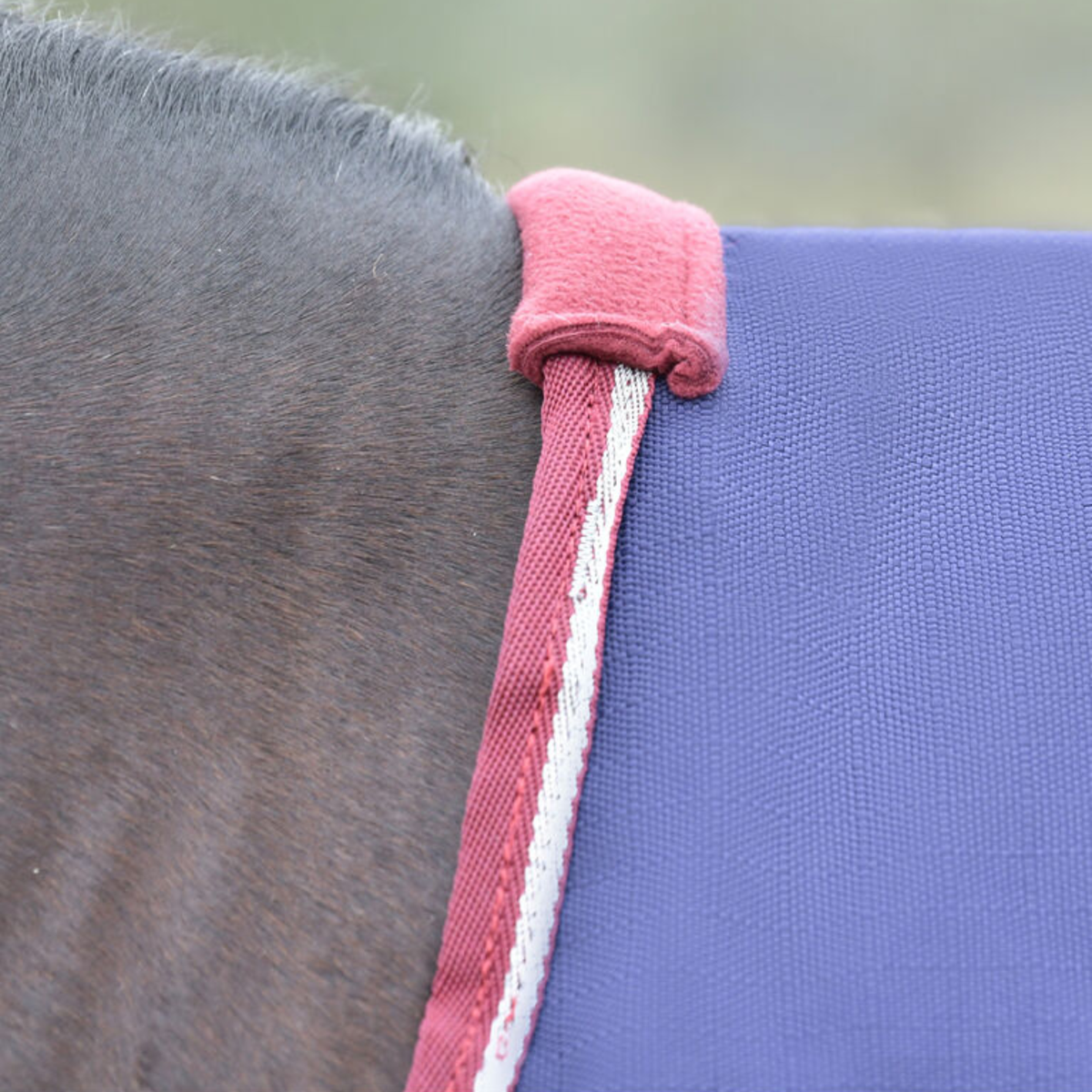 Close up of the fleece wither on Weatherbeeta Comfitec Essential Turnout Sheet in Navy/Burgundy.