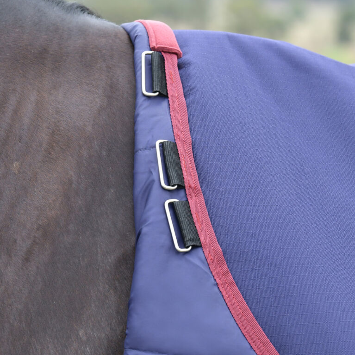 Close up of the neck attachments on Weatherbeeta Comfitec Essential Turnout Sheet in Navy/Burgundy.