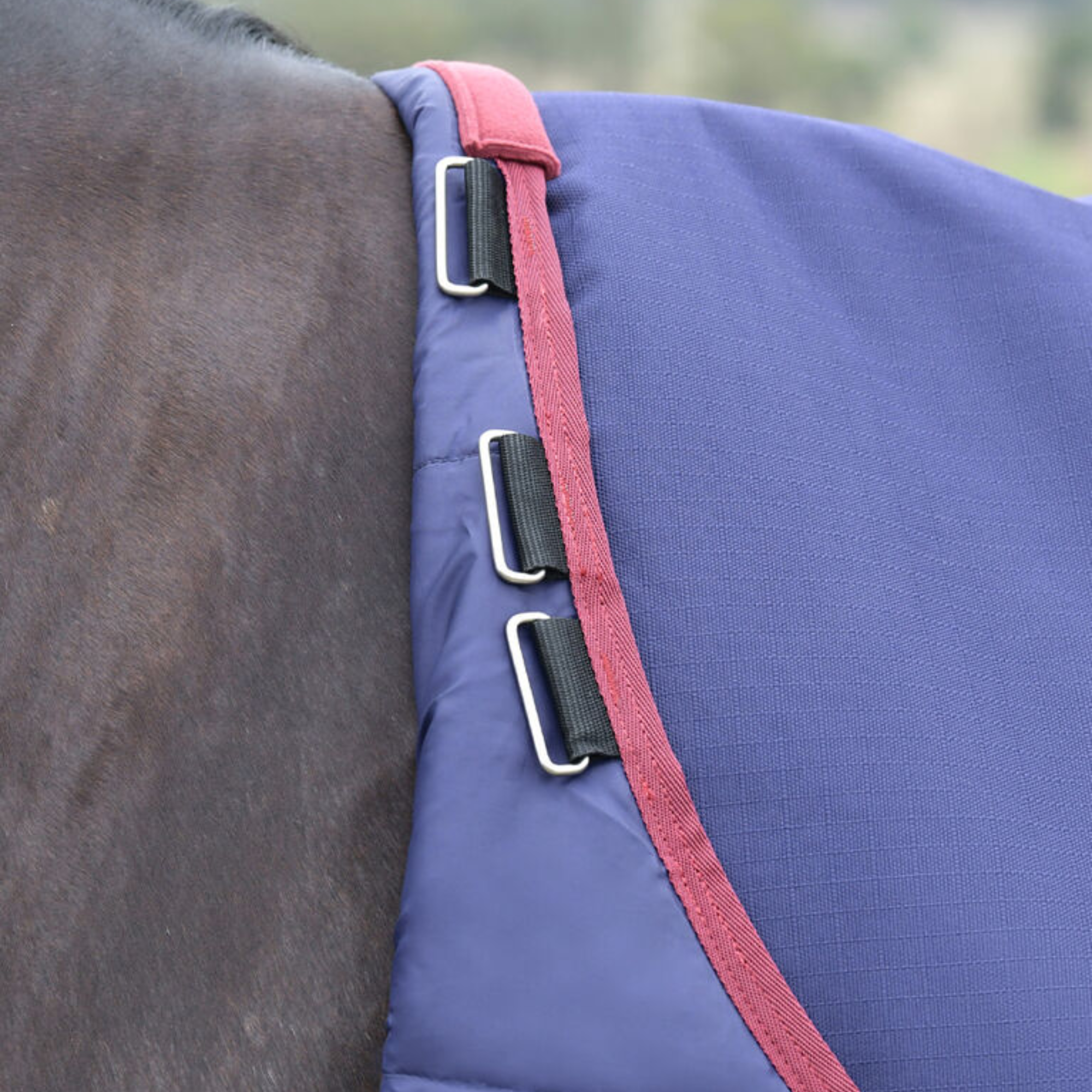 Weatherbeeta ComFiTec Essential Turnout 0gm, Navy/Burgundy