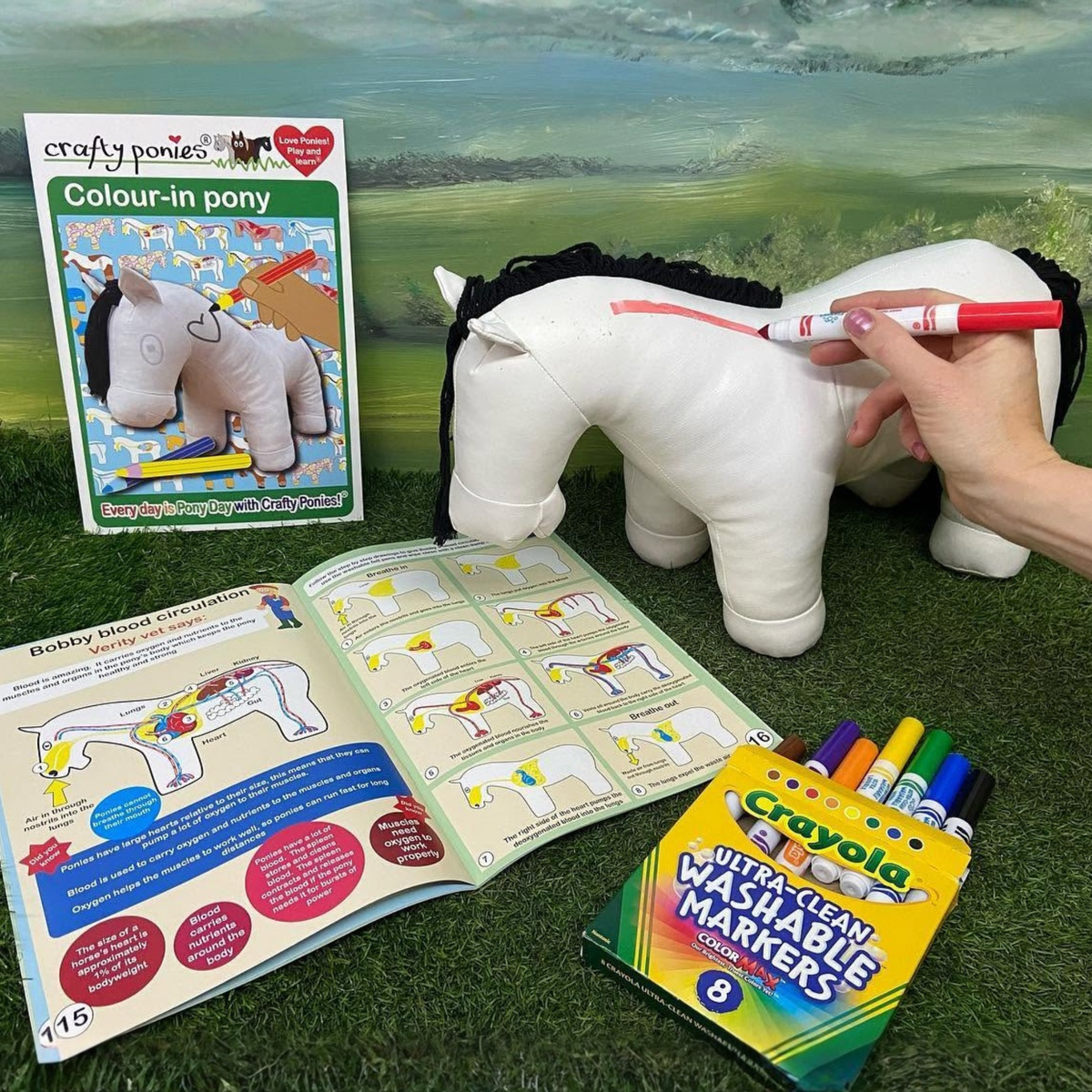 Crafty Pony Vinyl Pony with Booklet & Markers