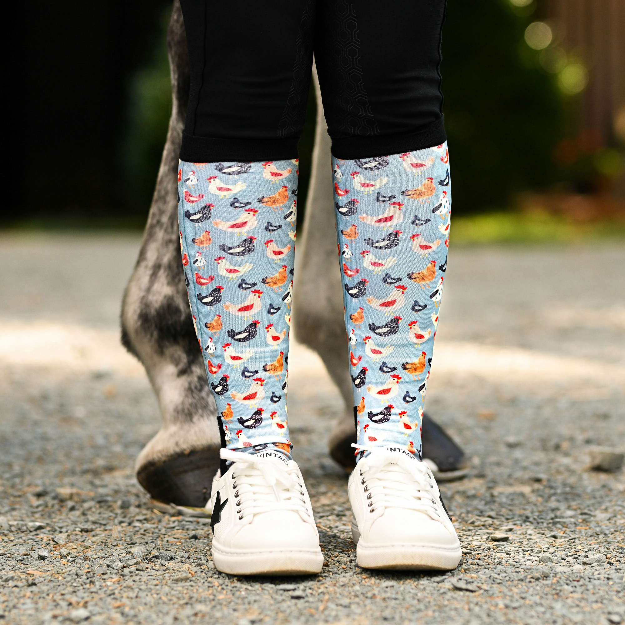 Dreamers & Schemers Hen House Pair & A Spare Boot Socks