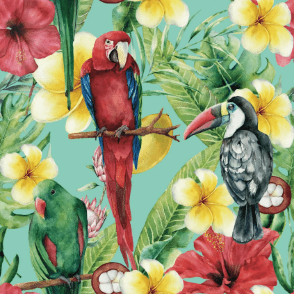 Dreamers & Schemers Tropical Dreamin&