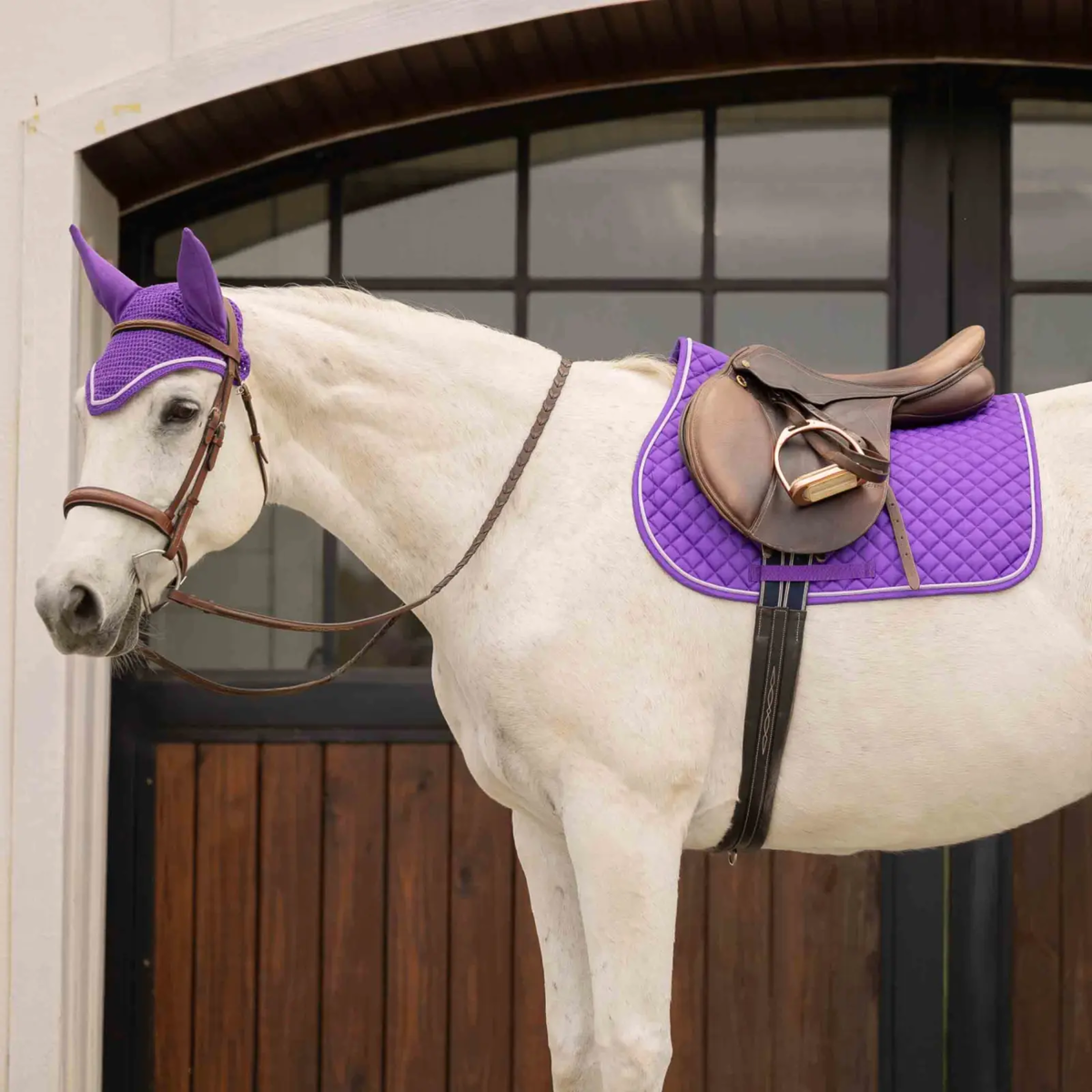 Equinavia Voss All Purpose Saddle Pad and Bonnet Set, Purple