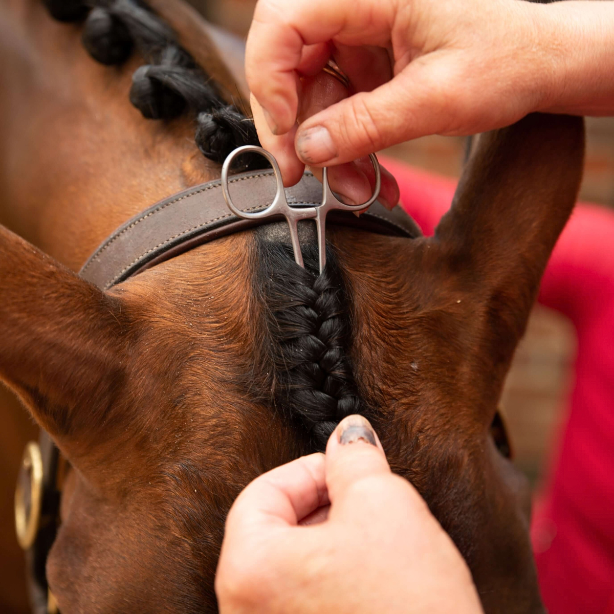 Smart Grooming Forelock Plaiting Grippers
