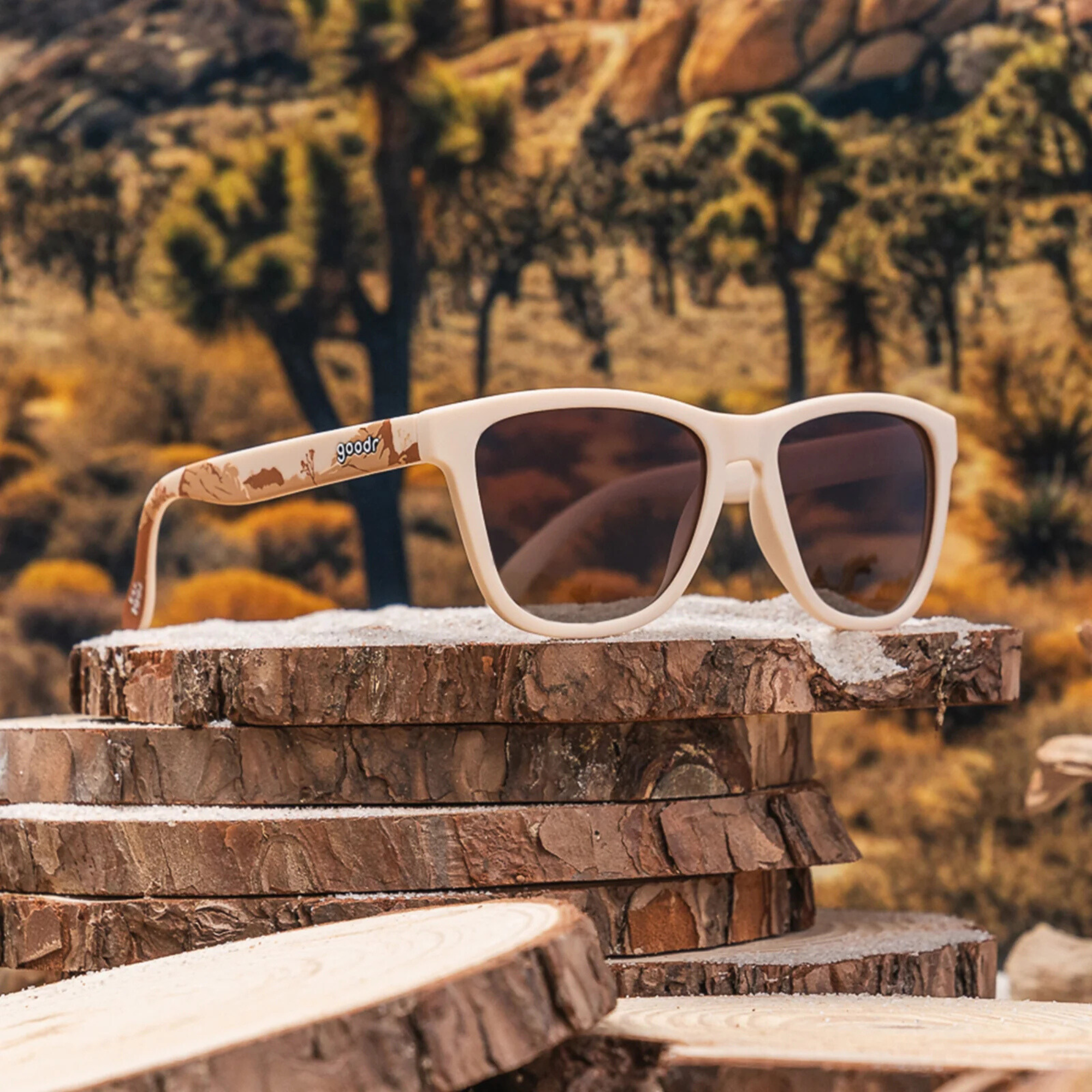 goodr Joshua Tree National Park 2024