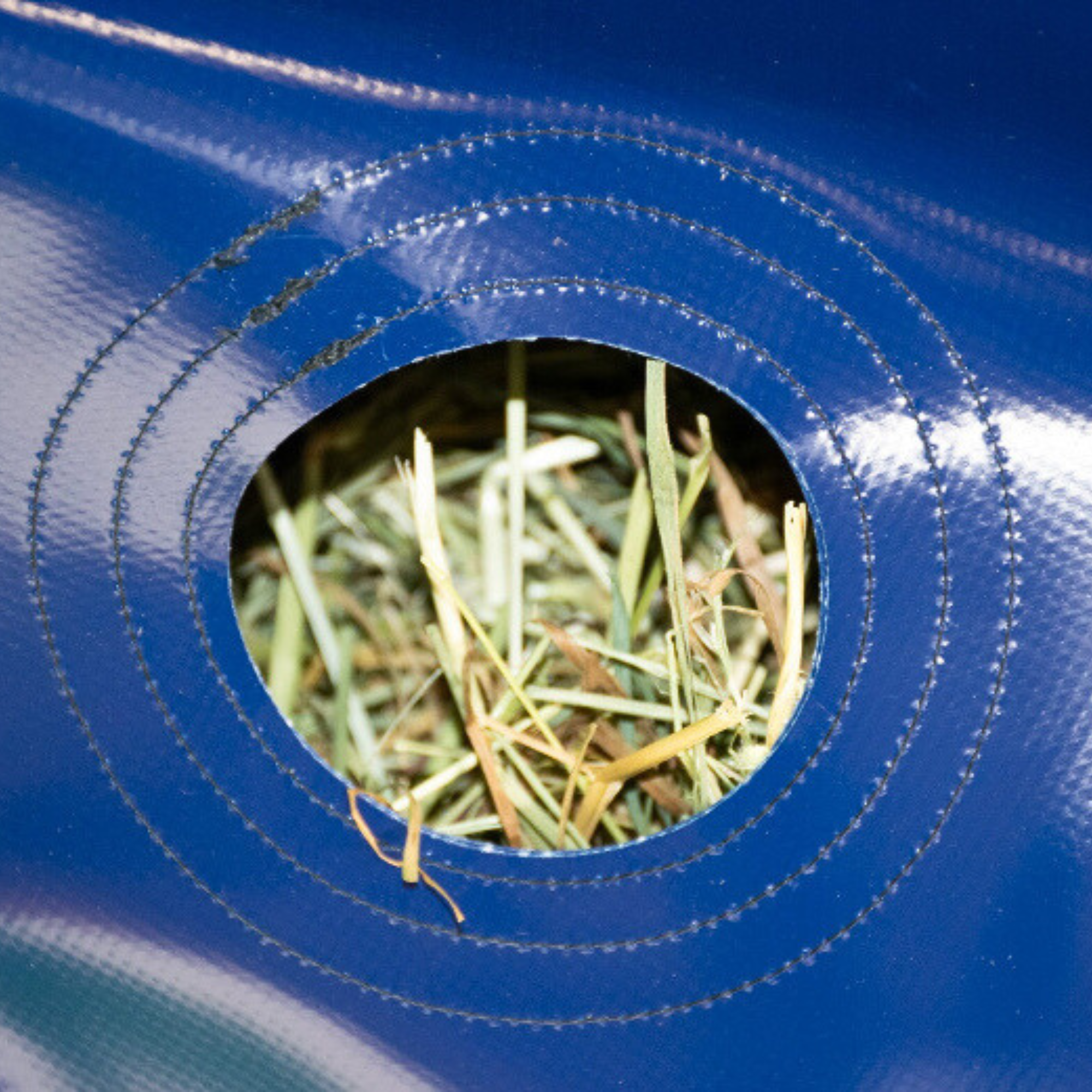GreenGuard HayPlay Button Bag Slow Feed Hay Bag