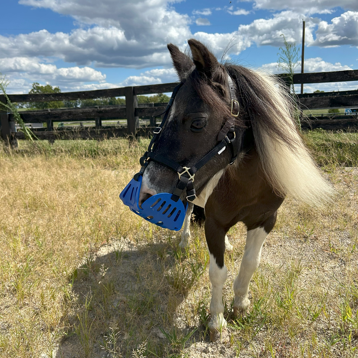 GreenGuard Grazing Muzzle