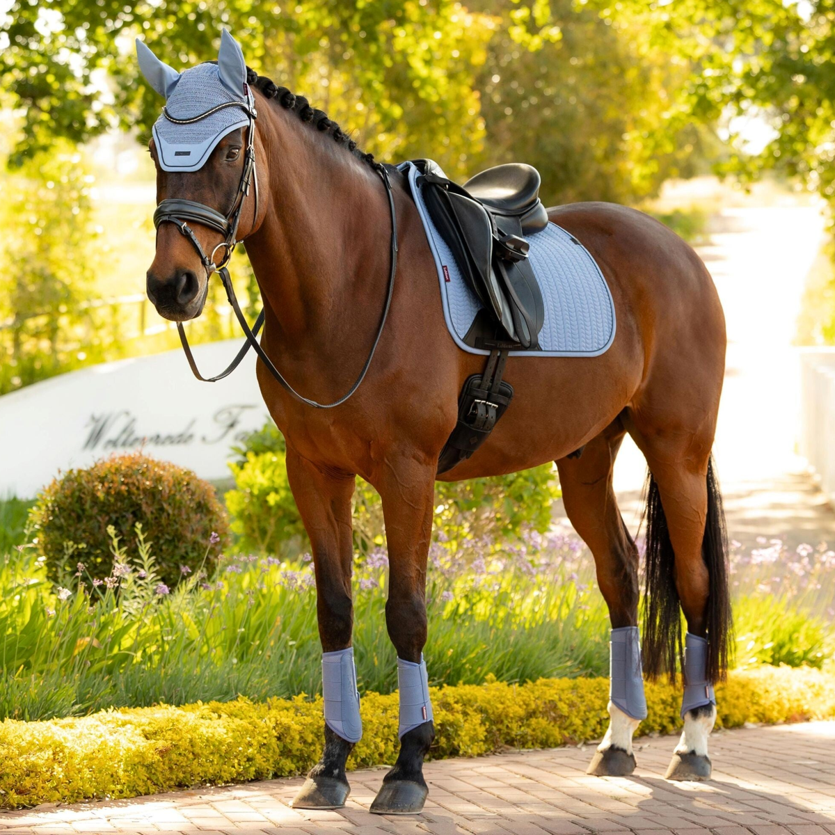 LeMieux Essence Dressage Square Pad, Powder Blue