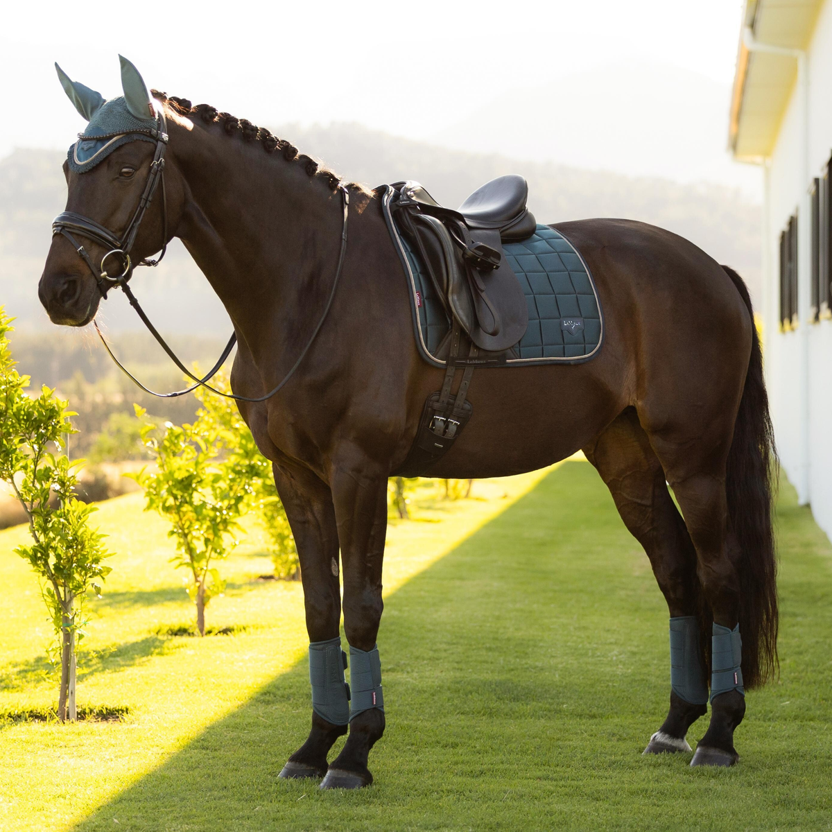 LeMieux Loire Classic Dressage Square Pad, Jungle