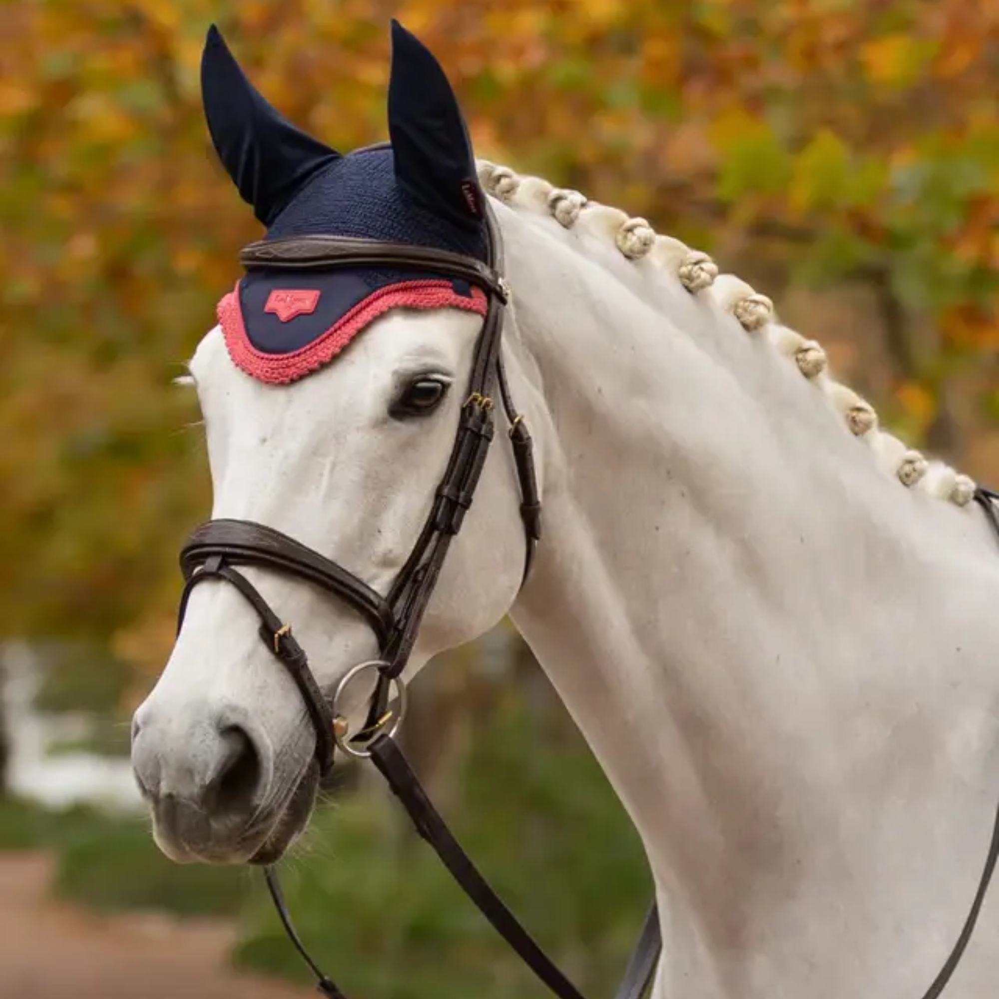 LeMieux Loire Ear Bonnet, Navy/Cranberry – M & M Tack Shop