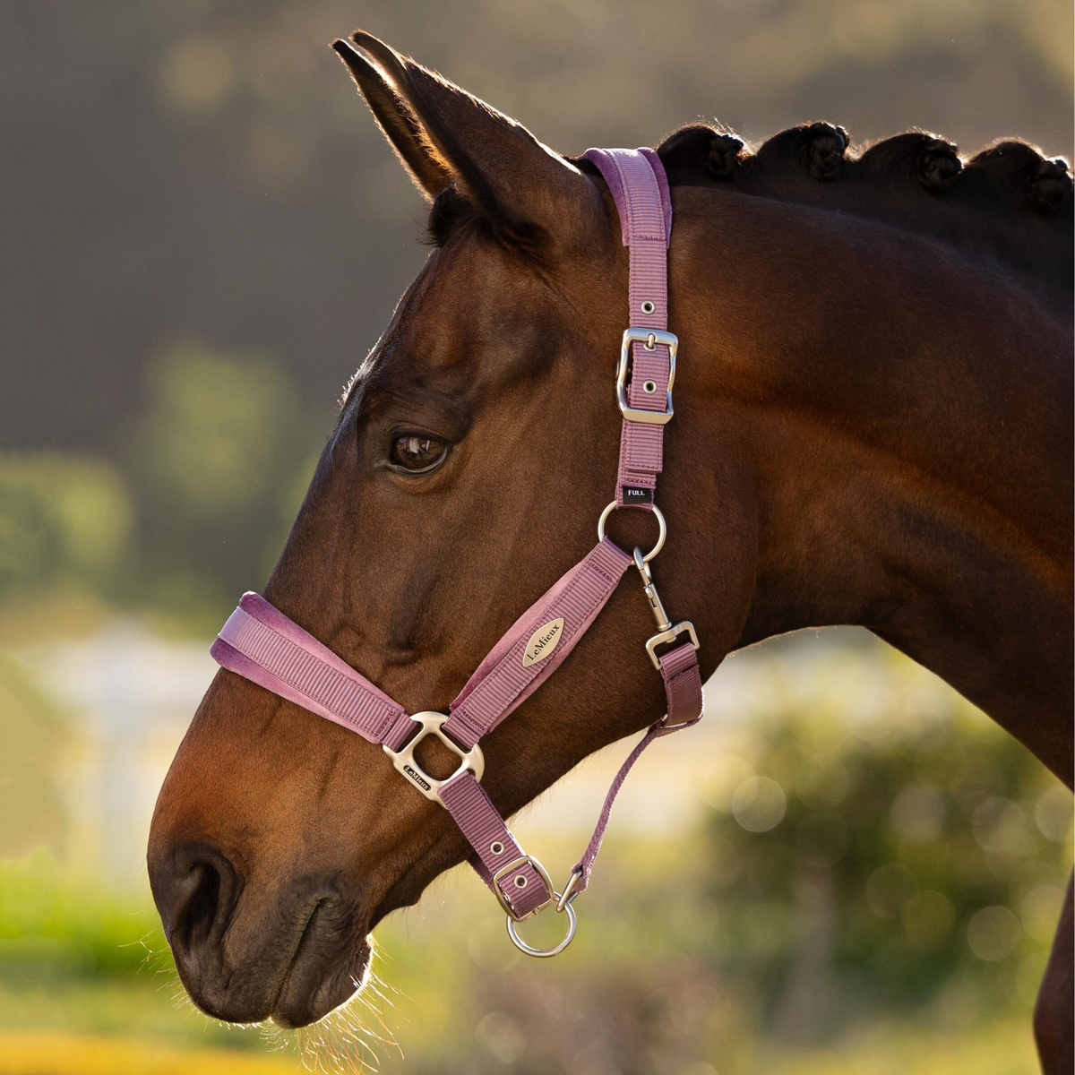LeMieux Versailles Headcollar, Mallow