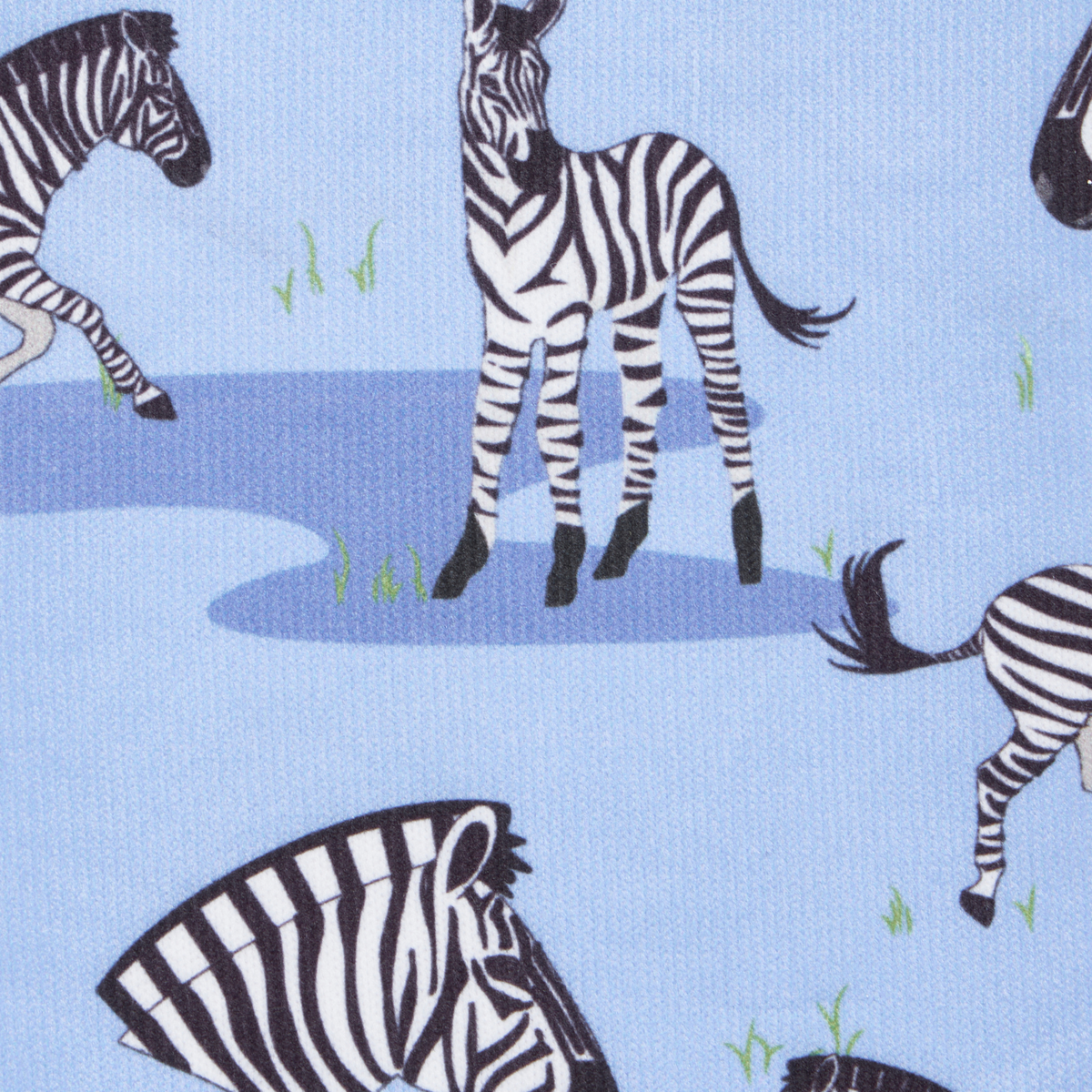 LeMieux Footsie Sock, Zebra