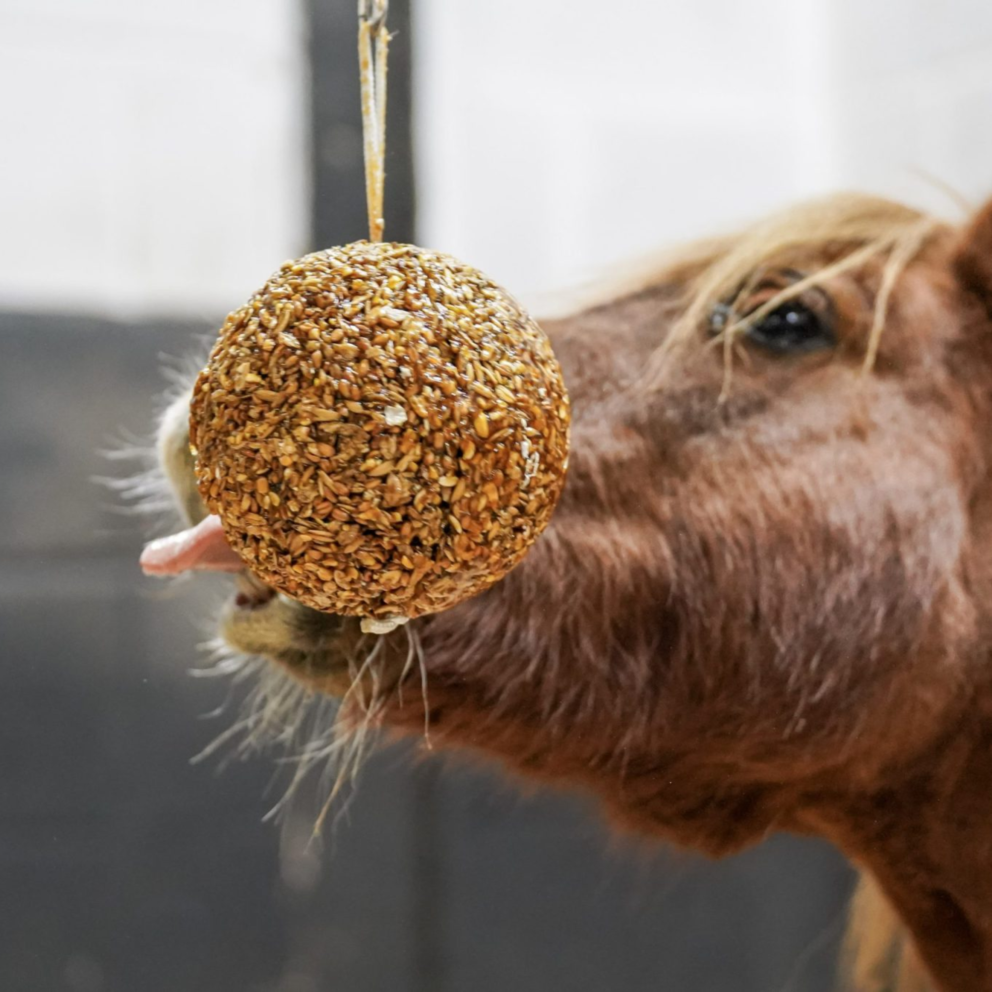 Likit Granola Stall Ball, Peppermint