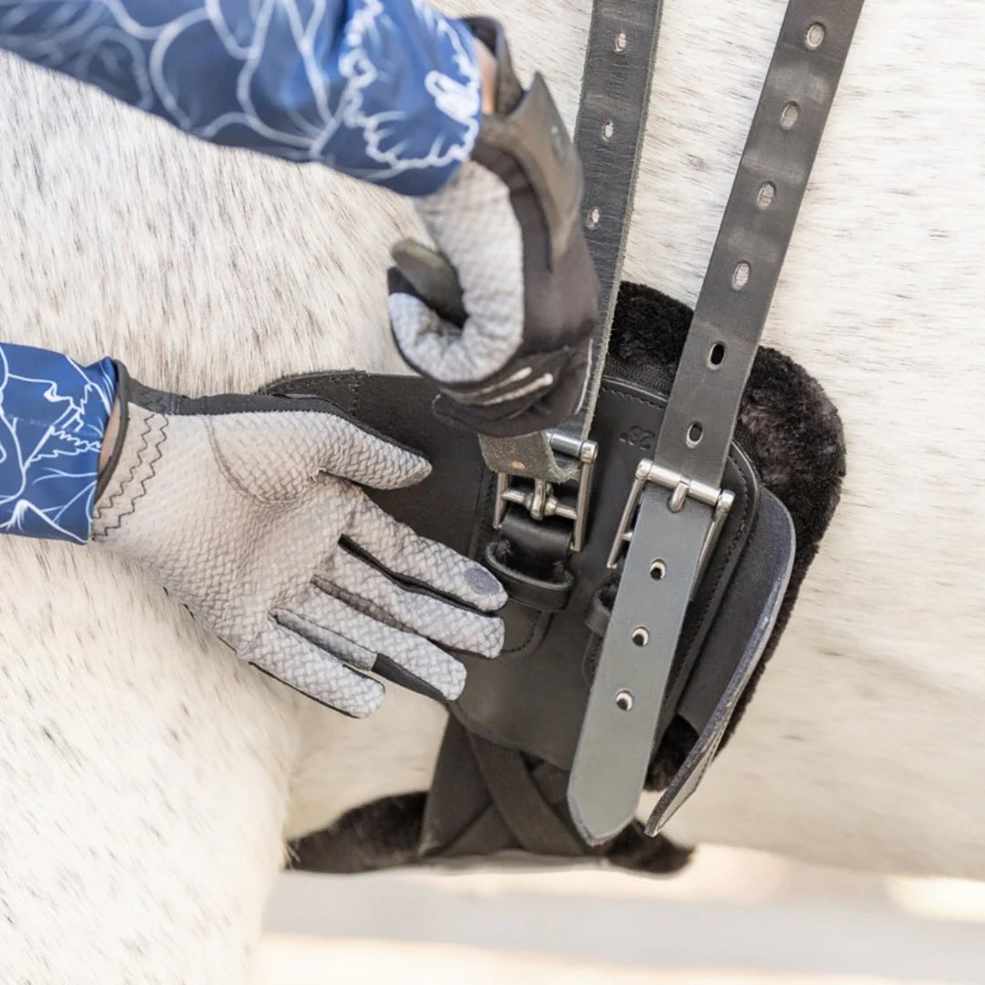 Person adjusting a black leather girth on a horse&