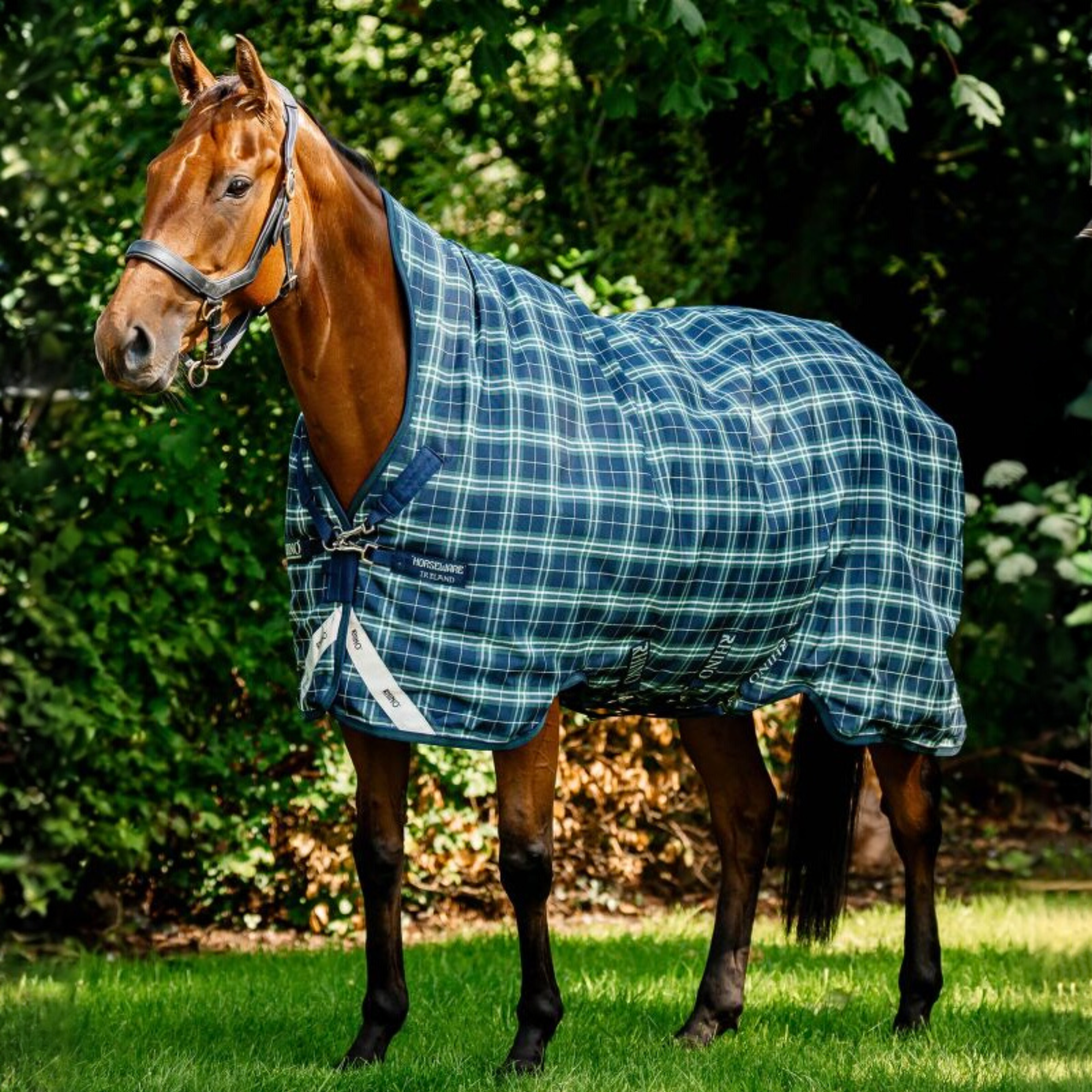 Rhino Wug Turnout,  0gm Lite, Hunter Check