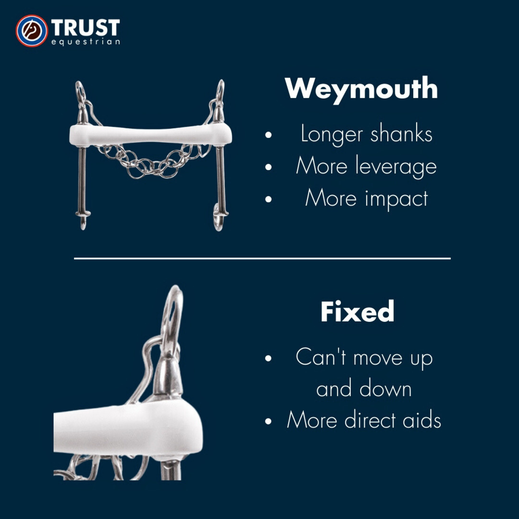 TRUST Inno Sense Weymouth Fixed-Flexi Soft Bit