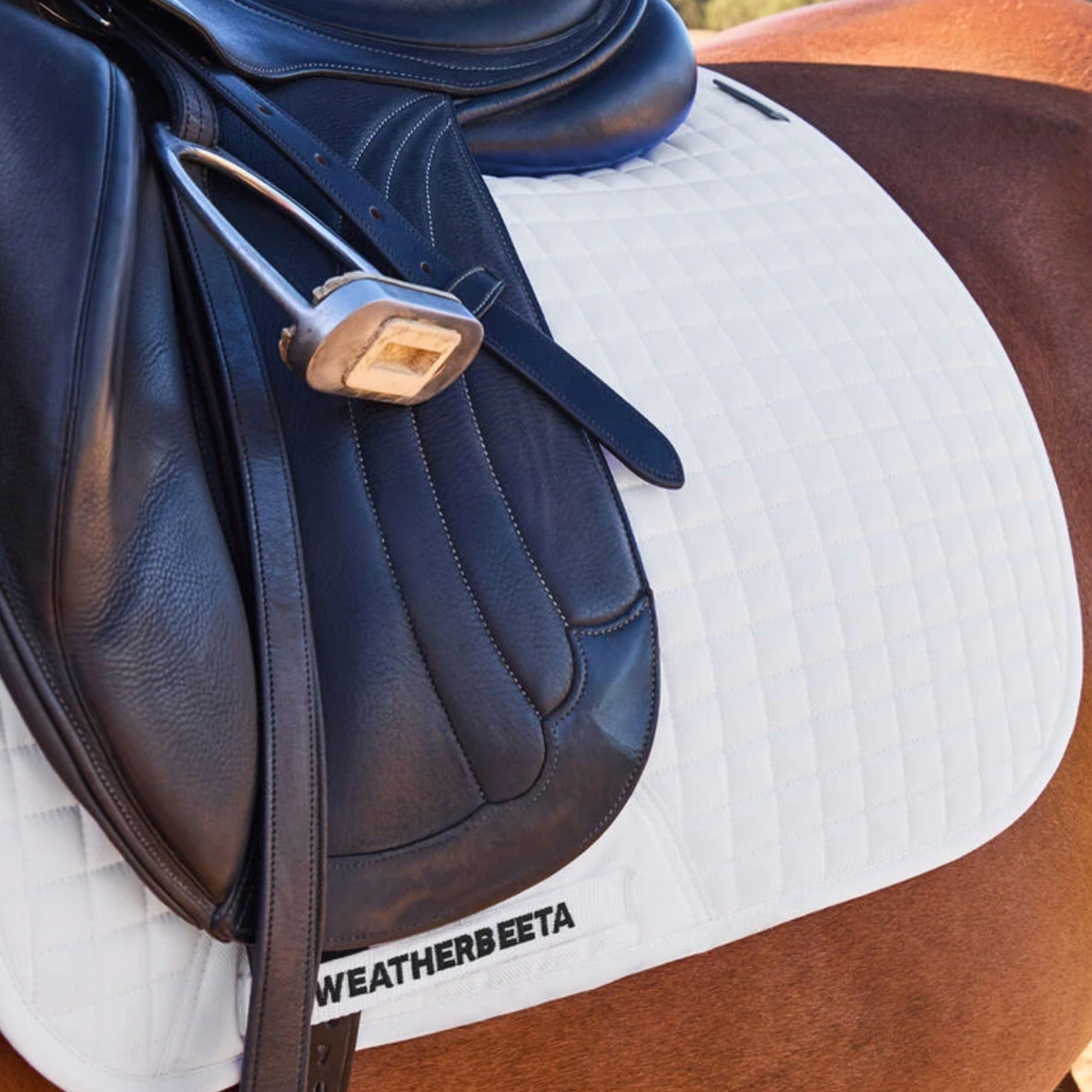 A chestnut horse is wearing a white Weatherbeeta Air Tec Dressage Pad in White.