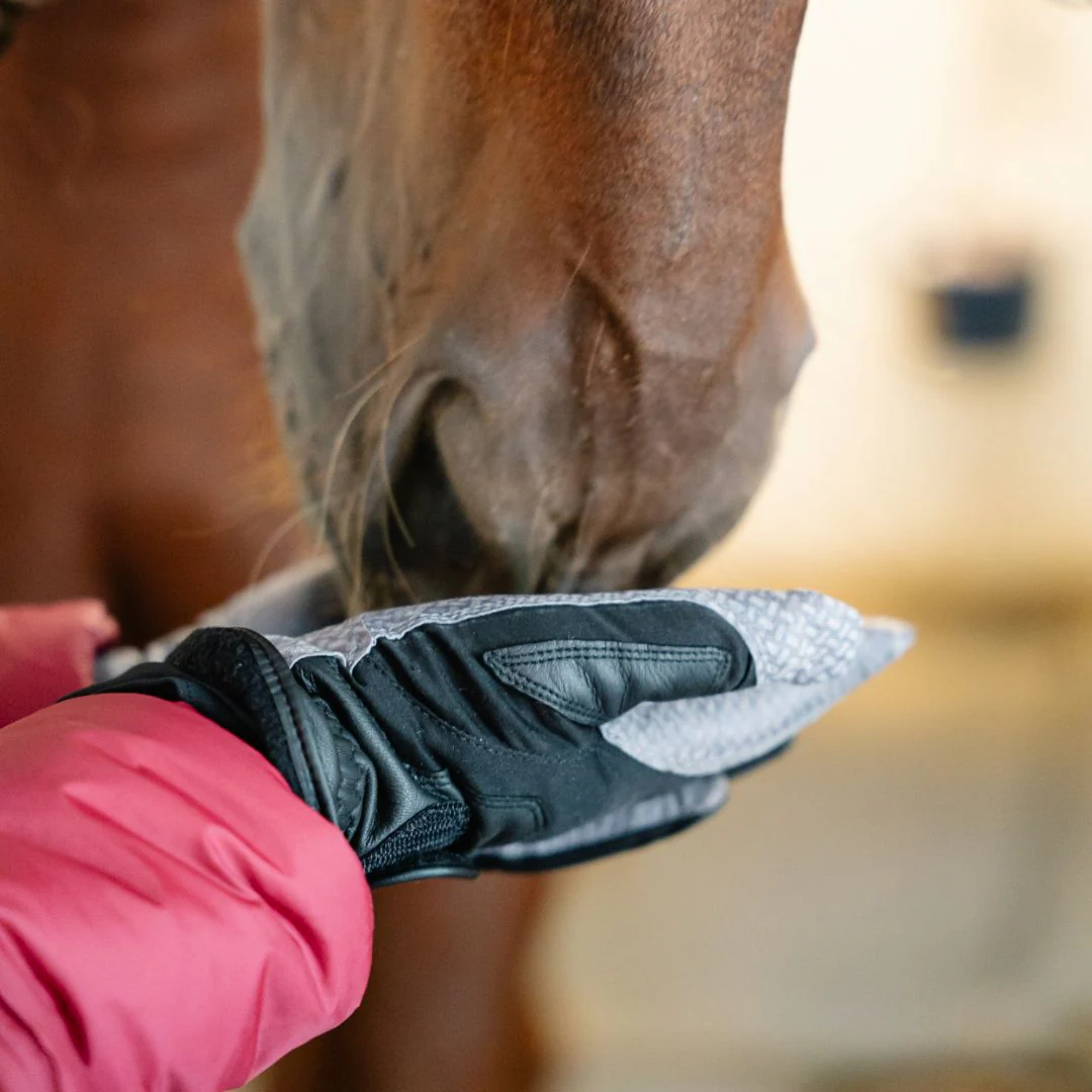 Person wearing a black glove with a textured palm, interacting with a horse.