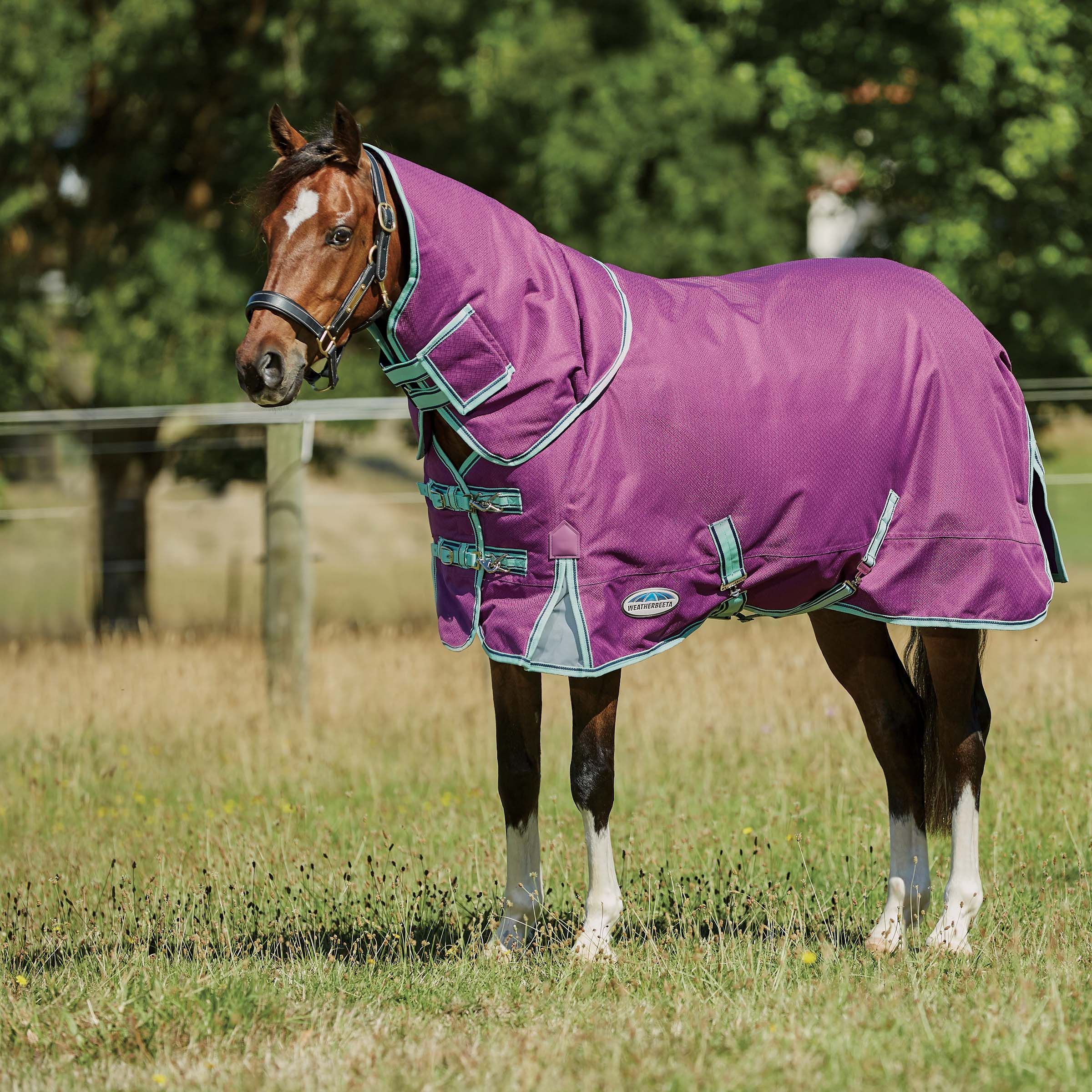 WeatherBeeta ComFiTec Premier Freedom Pony Detach-A-Neck, Lite
