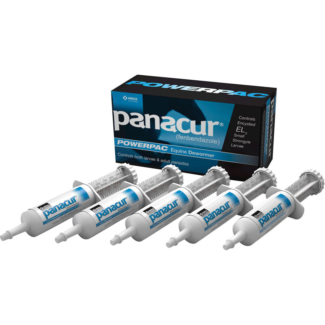 Panacur Powerpac Equine Paste 10% Horse Dewormer
