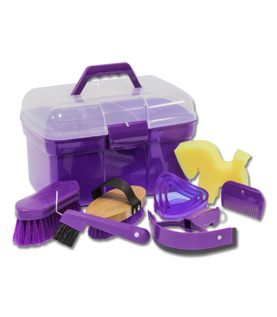 Grooming Kit with Brushes