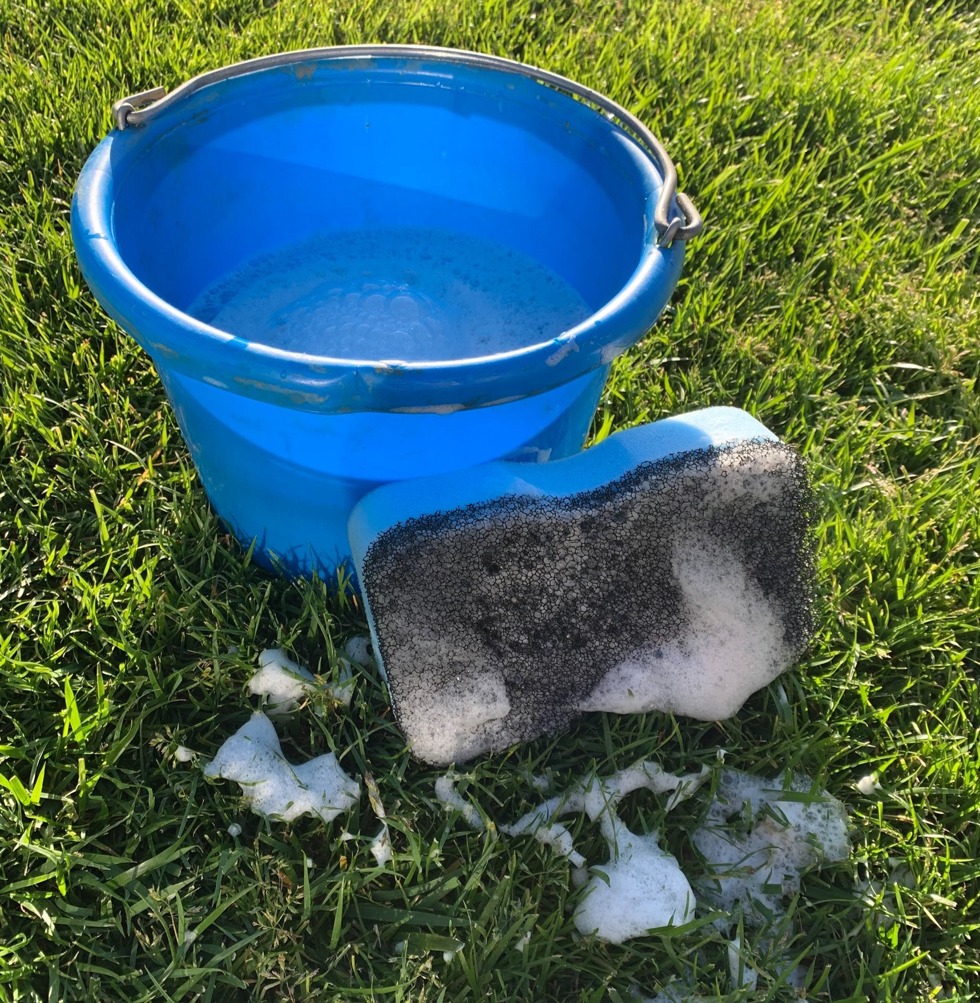 Epona April Power Shower Sponge