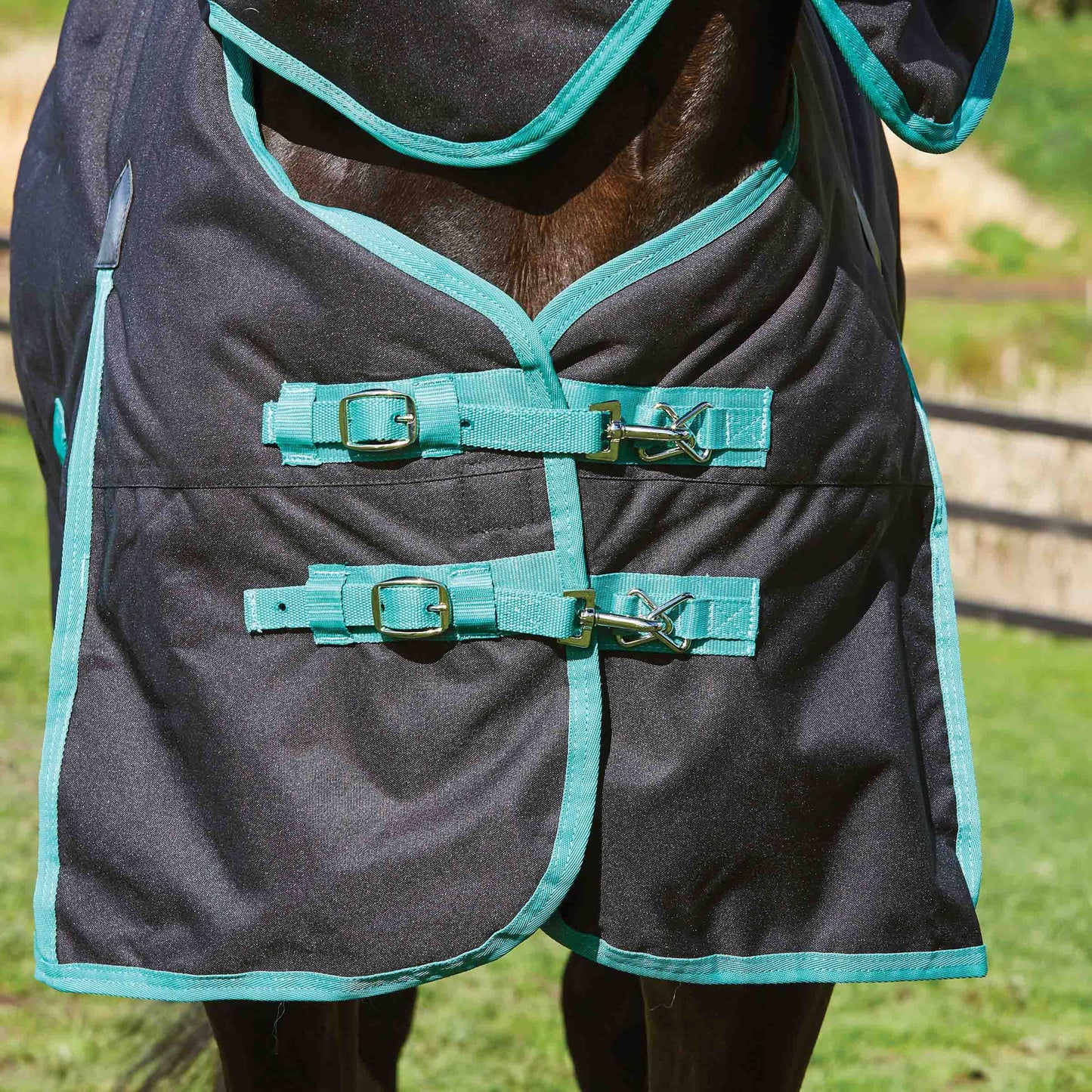 Weatherbeeta Green-Tec 900D Detach-A-Neck Turnout, Medium