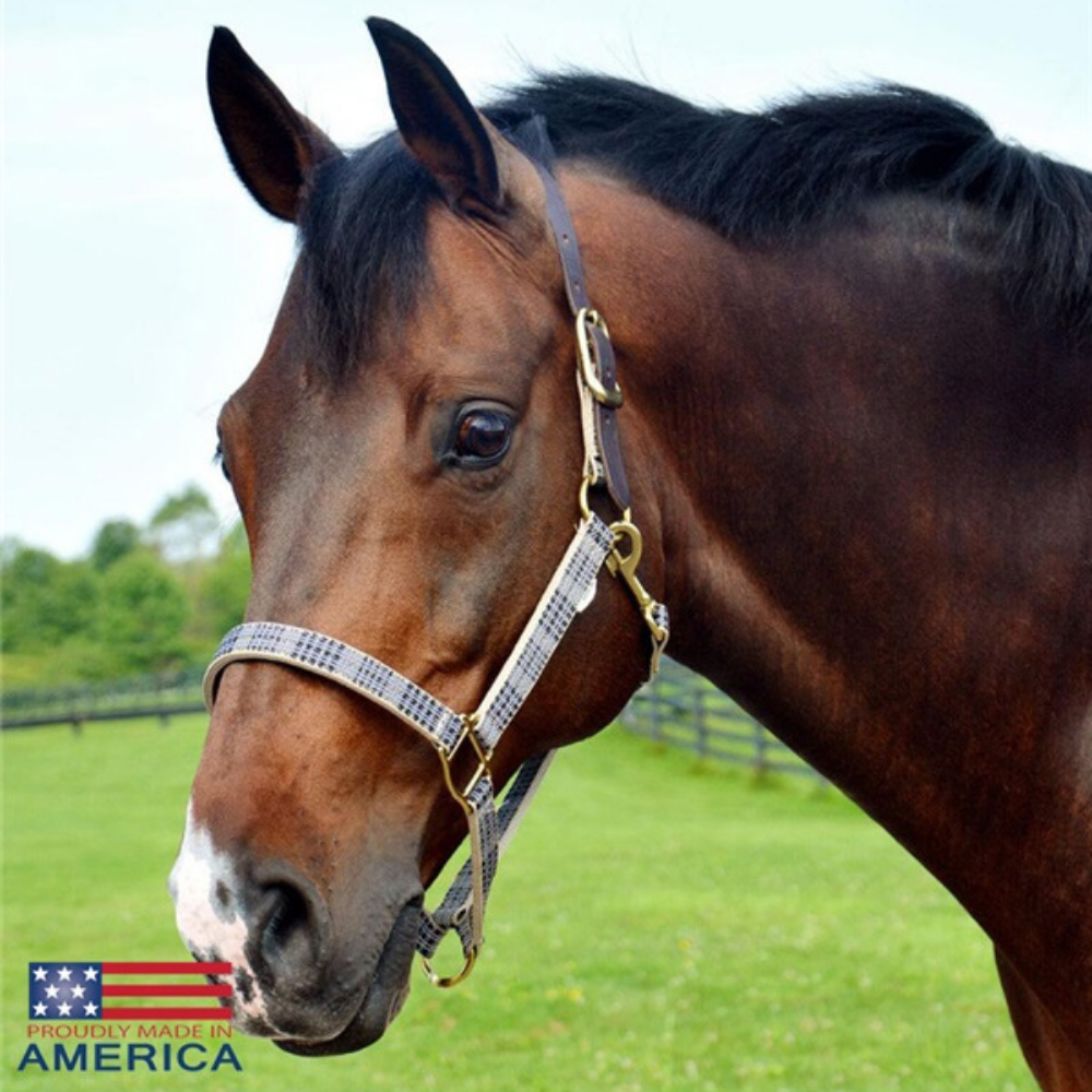 Image of 5/A Baker® breakaway halter with full leather 1" crown near side.
