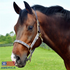 Image of 5/A Baker® breakaway halter with full leather 1" crown near side.