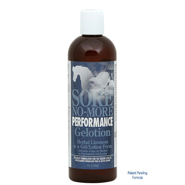 Sore No-More Performance Gelotion, 12oz