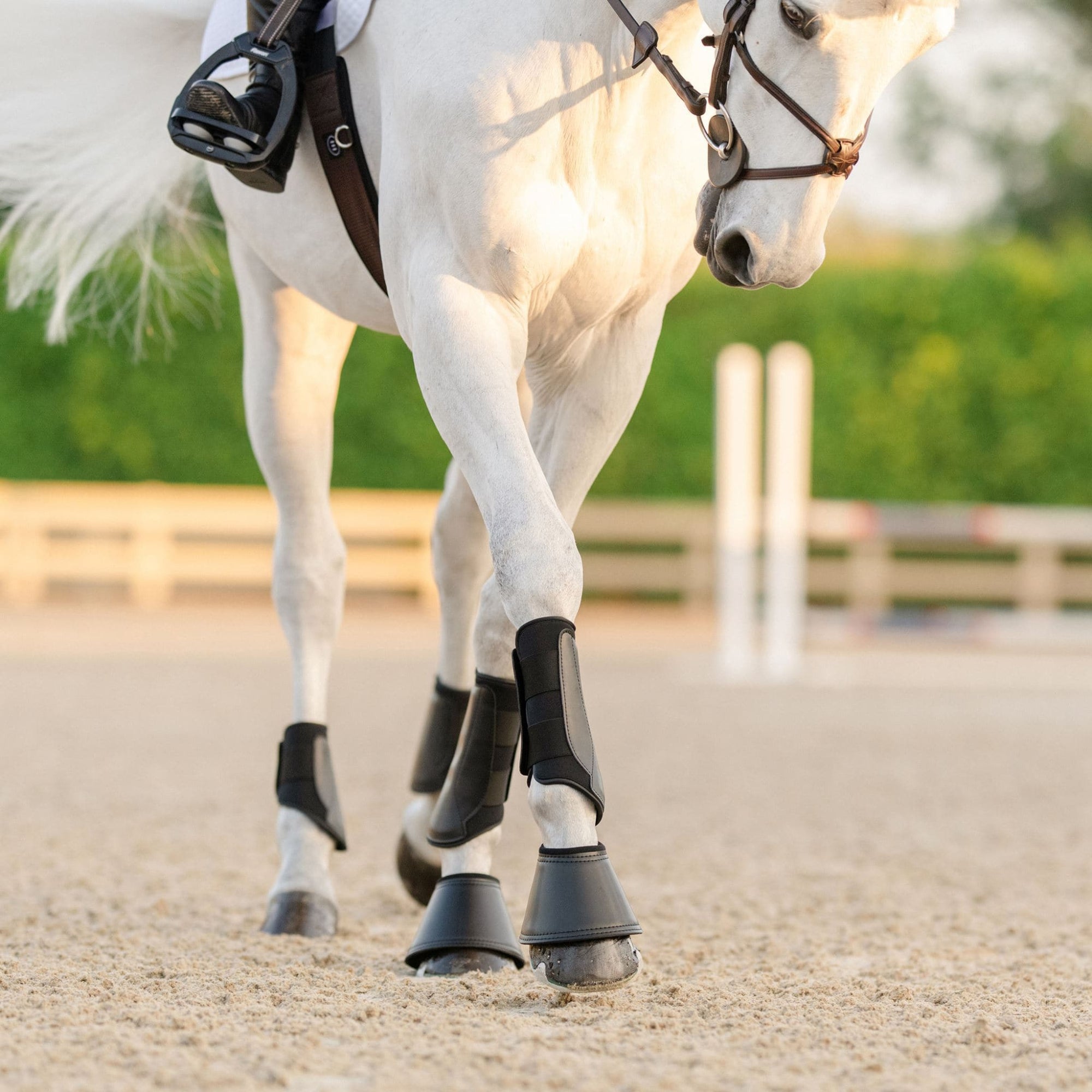 Set of Equifit Essential EveryDay Front Boots on a white horse.