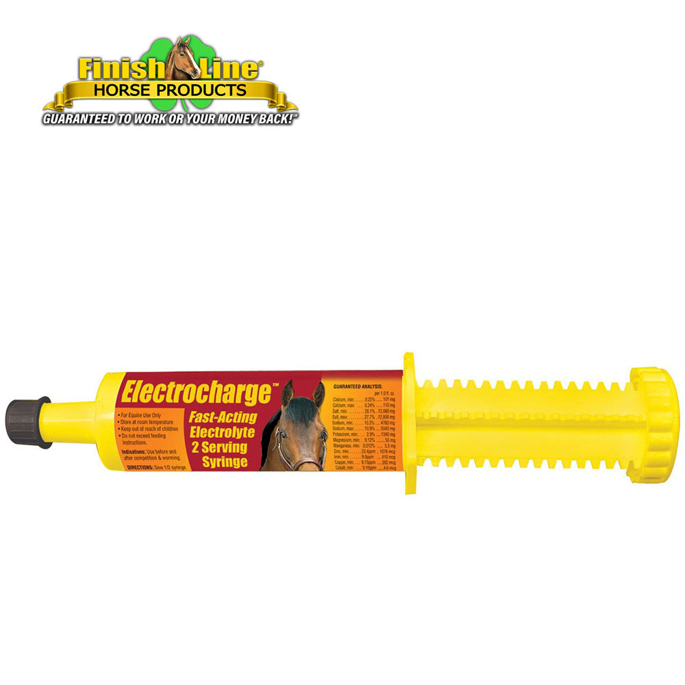 Electrocharge™ Paste, 60cc