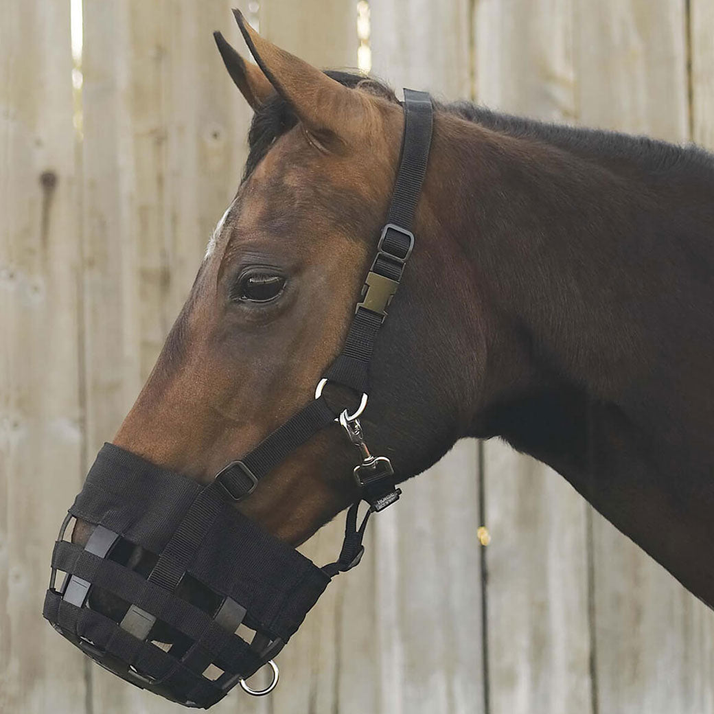 Best friend have a heart grazing muzzle best sale